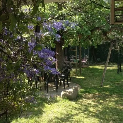 Comfort İki Ayrı Yataklı Oda, 2 Tek Kişilik Yatak, Buzdolabı ve Mikrodalga, Havuz Manzaralı
