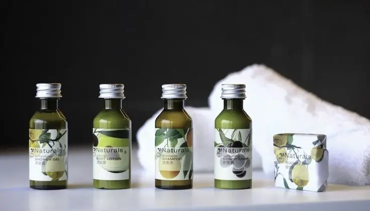 Oda, 1 En Büyük (King) Boy Yatak, Dağ Manzaralı (includes air purifier and UV disinfe)