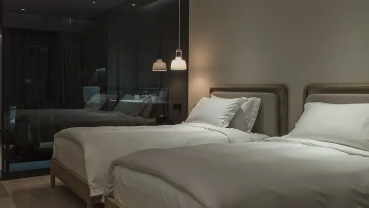 Superior İki Ayrı Yataklı Oda, Şehir Manzaralı