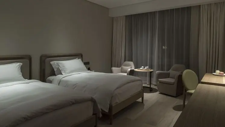 Superior İki Ayrı Yataklı Oda, Şehir Manzaralı