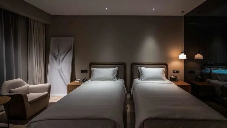 Superior İki Ayrı Yataklı Oda, Şehir Manzaralı