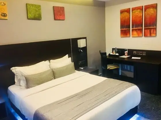 Standard Tek Kişilik Oda, 1 En Büyük (King) Boy Yatak