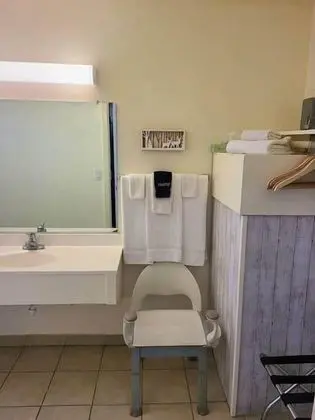 Design Stüdyo (Pet Friendly)