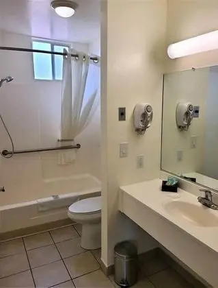 Design Stüdyo (Pet Friendly)