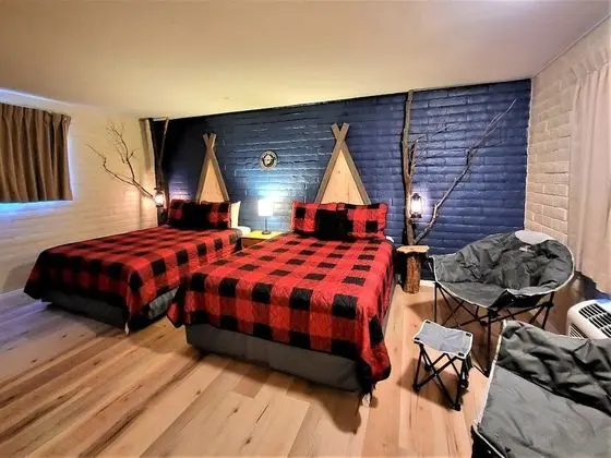 Standard Tek Büyük Yataklı Oda (No Pets)