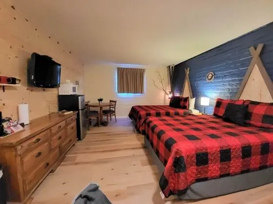 Standard Tek Büyük Yataklı Oda (No Pets)