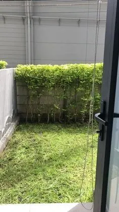 The Garden