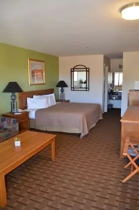 Junior Tek Kişilik Oda (King)