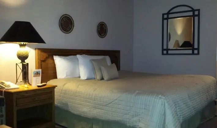 Standard Oda (1 King Bed)
