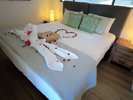 Superior Apart Daire, 1 Yatak Odası, Sigara İçilmez, Havuz Manzaralı