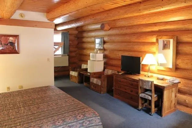 Log Room 1 King (Deluxe w/Sleeper Sofa)