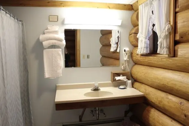 Log Room 1 King (Deluxe w/Sleeper Sofa)