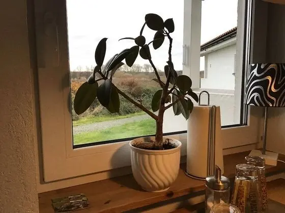Comfort Kulübe, 1 Yatak Odası