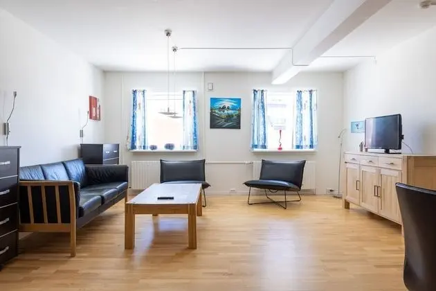 Apart Daire, 1 Yatak Odası, Anti Alerjik (111)