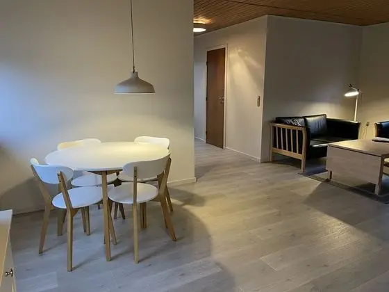 Basic Kır Evi