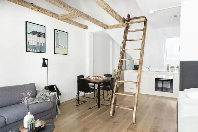 Luxury Çatı Katı (Loft) (60)