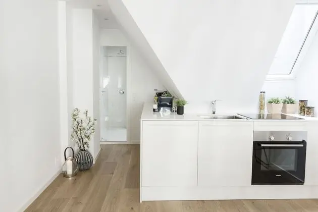 Luxury Çatı Katı (Loft) (60)