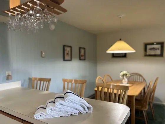 Economy Daire, 1 Yatak Odası, Balkon, Dağ Manzaralı (Partial A/C)