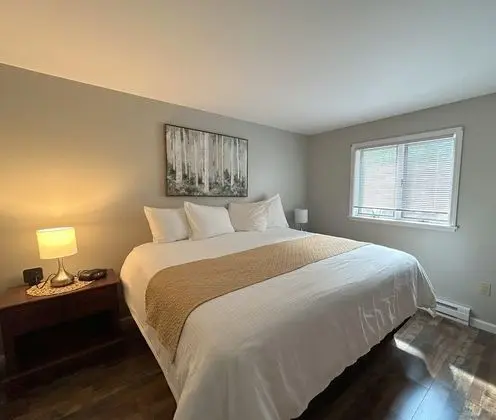 Economy Daire, 1 Yatak Odası, Balkon, Dağ Manzaralı (Partial A/C)