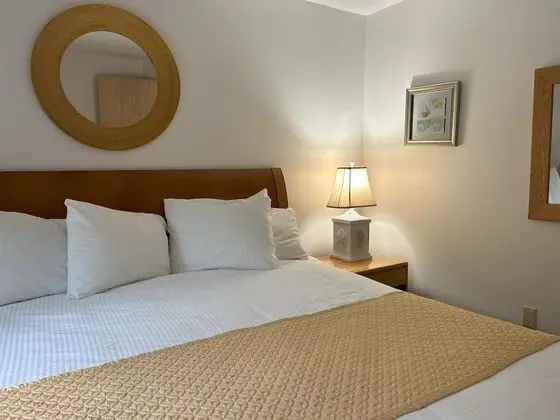 Economy Daire, 1 Yatak Odası, Balkon, Dağ Manzaralı (Partial A/C)