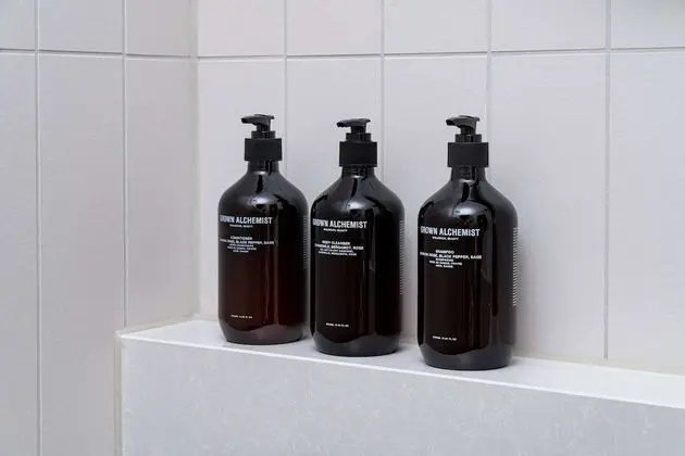 Süit