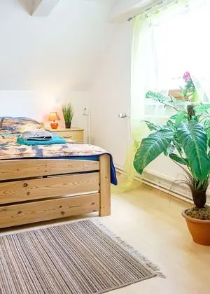 Family Oda, Sigara İçilmez