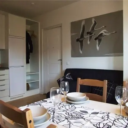 Apart Daire, 1 Yatak Odası