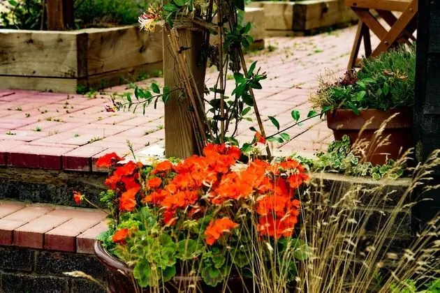Romantic Tek Büyük Yataklı Oda, 1 Çift Kişilik Yatak, Avlu