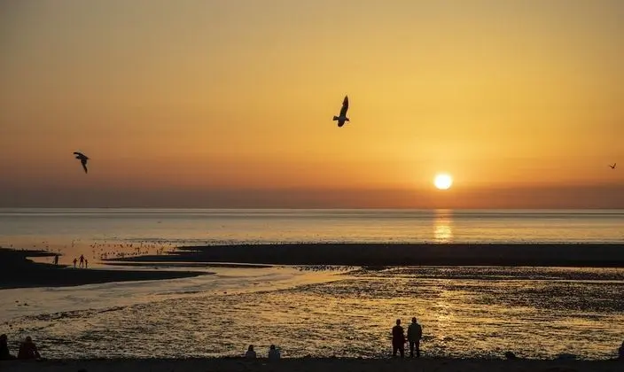 Romantic Tek Büyük Yataklı Oda, 1 Çift Kişilik Yatak, Avlu