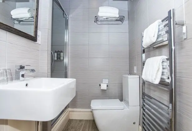 Deluxe Tek Büyük Yataklı Oda, Banyolu/Duşlu (Sorrel)