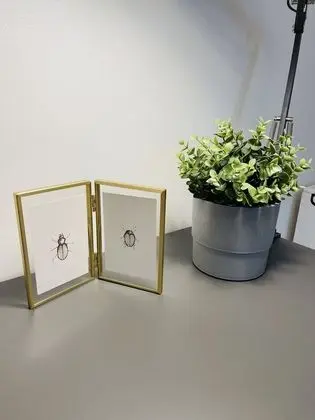 Comfort Tek Büyük Yataklı Oda, Ortak Banyo (Room 2)