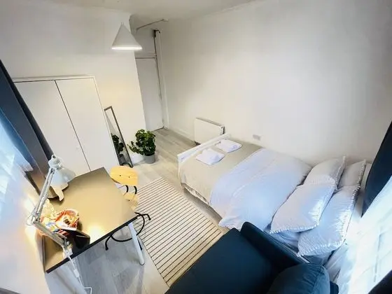 Standard Tek Büyük Yataklı Oda, Ortak Banyo (Room 3)