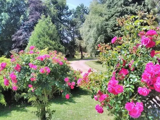 Kır Evi, Banyolu/Duşlu (Normandy VIP)