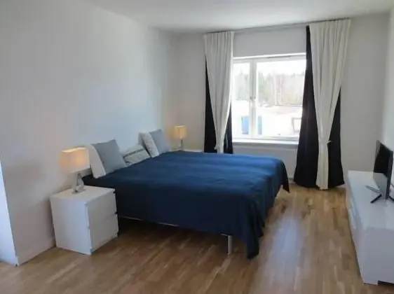 Deluxe Tek Büyük Yataklı Oda, 2 Tek Kişilik Yatak