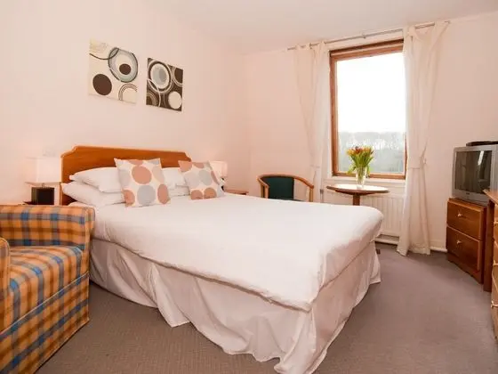 King Double, Single Occupancy