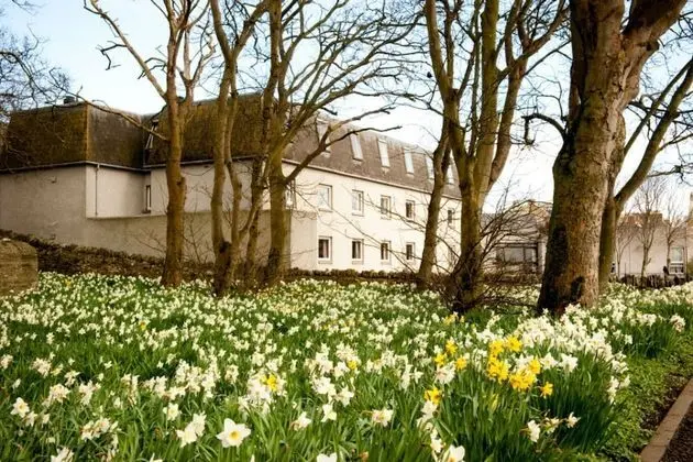 Superior Tek Büyük veya İki Ayrı Yataklı Oda