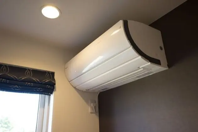 Standard Tek Büyük Yataklı Oda, Sigara İçilmez, Özel Banyo
