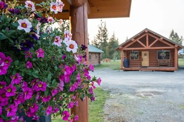 Traditional Kulübe