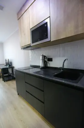 Studio Daire, Deniz ve Dağ Manzaralı, Mutfaklı