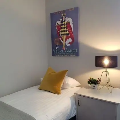 Standard Tek Büyük veya İki Ayrı Yataklı Oda, Banyolu/Duşlu, Şehir Manzaralı (T15)
