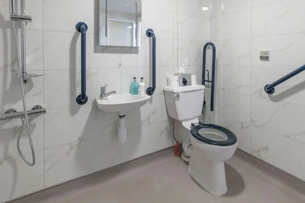 Superior Oda, 1 En Büyük (King) Boy Yatak, Engellilere Uygun, Küçük Mutfak (Walk-in Shower)