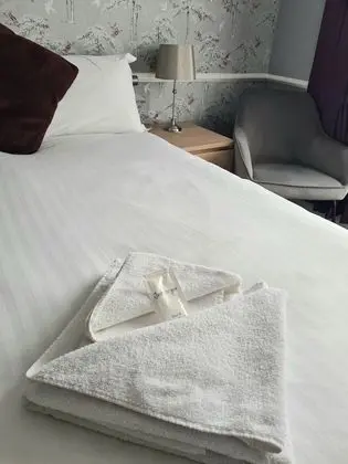 Tek Büyük Yataklı Oda, Banyolu/Duşlu