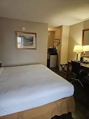 Oda, 1 En Büyük (King) Boy Yatak, Havuz Manzaralı