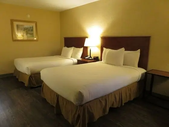 Oda, 2 Çift Kişilik Yatak, Havuz Manzaralı