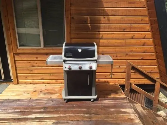 Ev