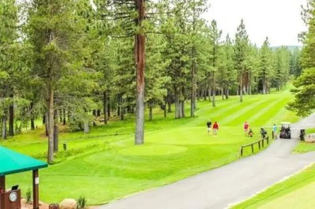 Ev