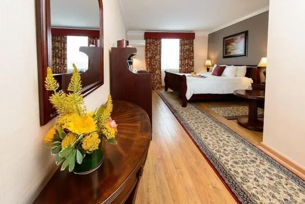 Deluxe Oda, 1 En Büyük (King) Boy Yatak, Buzdolabı, Şehir Manzaralı