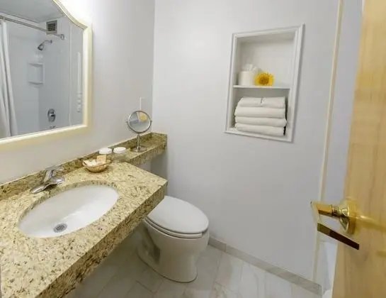 Deluxe Oda, 1 En Büyük (King) Boy Yatak, Buzdolabı, Şehir Manzaralı