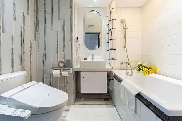 Premium Tek Büyük Yataklı Oda, Şehir Manzaralı