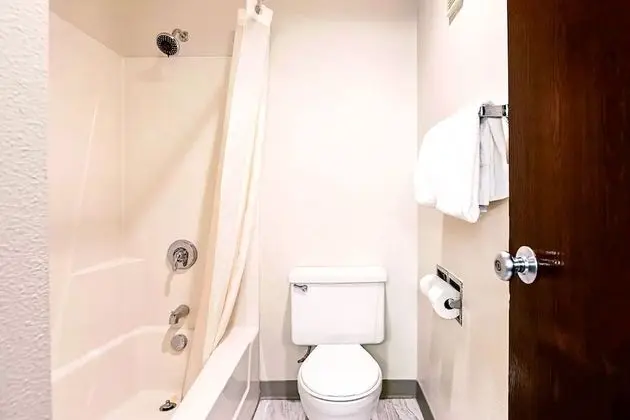 Comfort Oda, 1 En Büyük (King) Boy Yatak, Sigara İçilmez